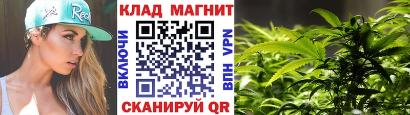 Codein Алексеевка