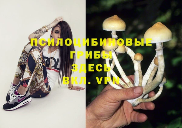 скорость Алексин