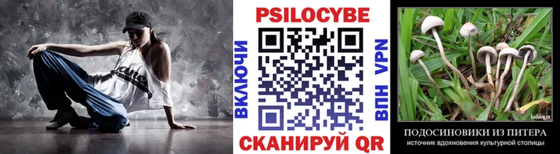 Псилоцибиновые грибы Cubensis  дарнет шоп  shop официальный сайт  Алексеевка 